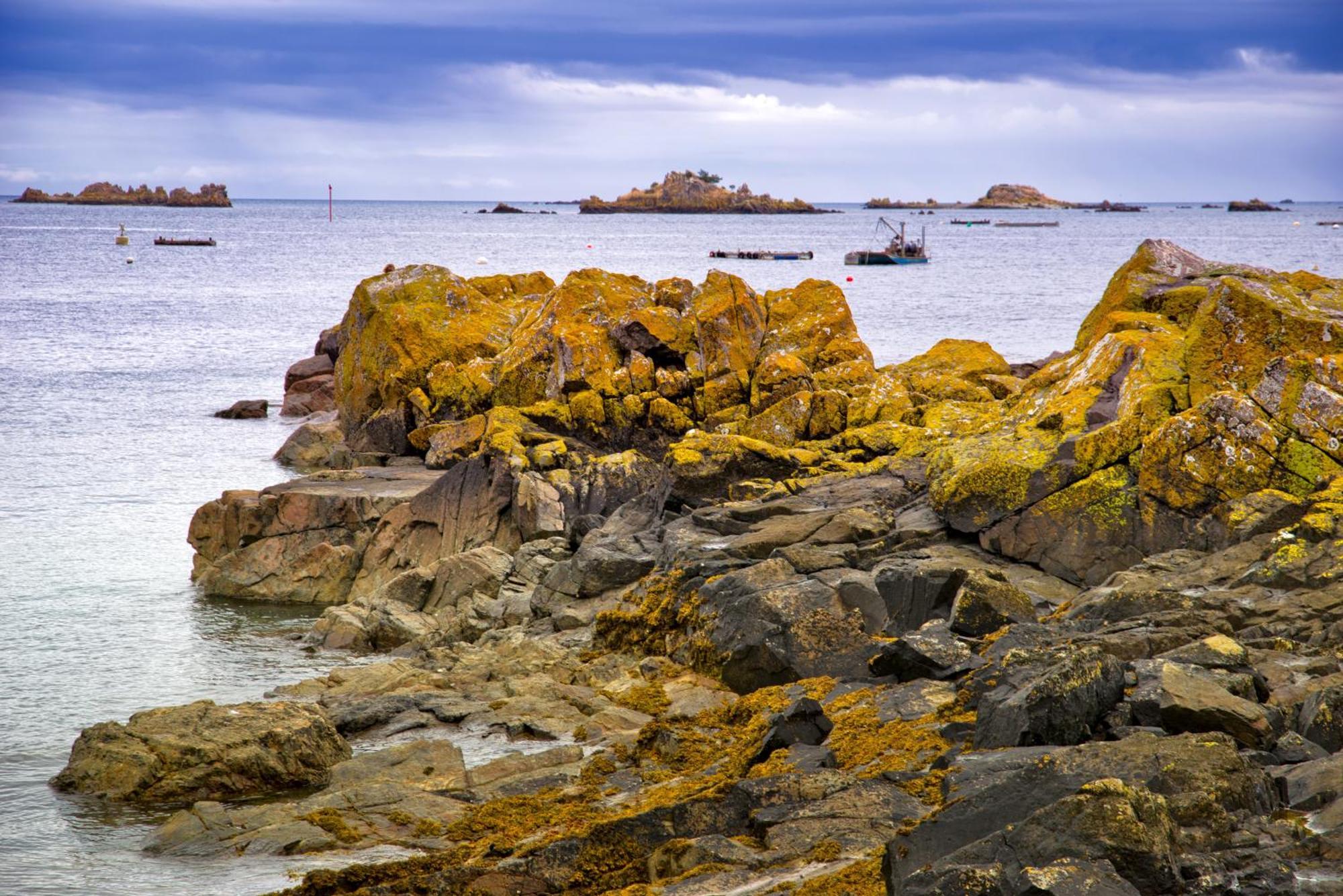 Gite Paimpol Le Loarwenn Екстериор снимка